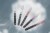 pol_pl_Acryl-Gel-FOX-Satin-005-Rozowy-50ml-Zel-do-Przedluzania-i-Wzmacniania-Paznokci-2794_3.jpg